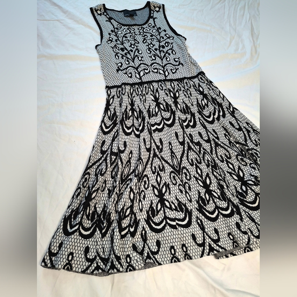 Cynthia Rowley Lace Fit & Flare Dress Black White Sleeveless Elegant